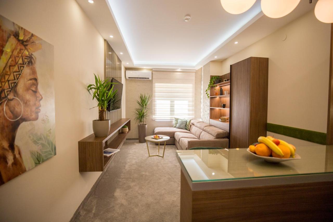 Vs Apartmani Vrnjačka Banja المظهر الخارجي الصورة